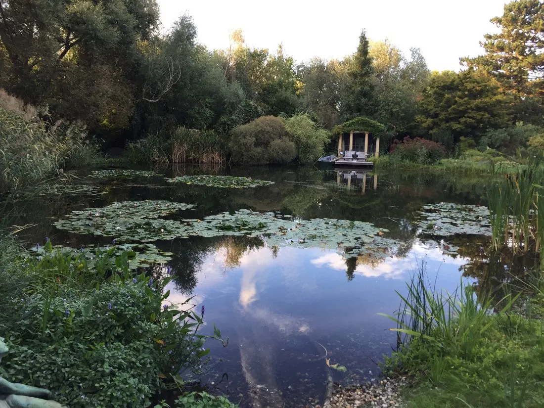 Klarer Teich mit Seerosen und Holzsteg nach der Sanierung