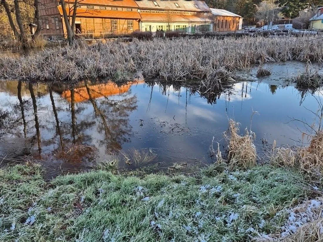 Trüber, brauner Teich mit kahlen Ufern vor der Sanierung