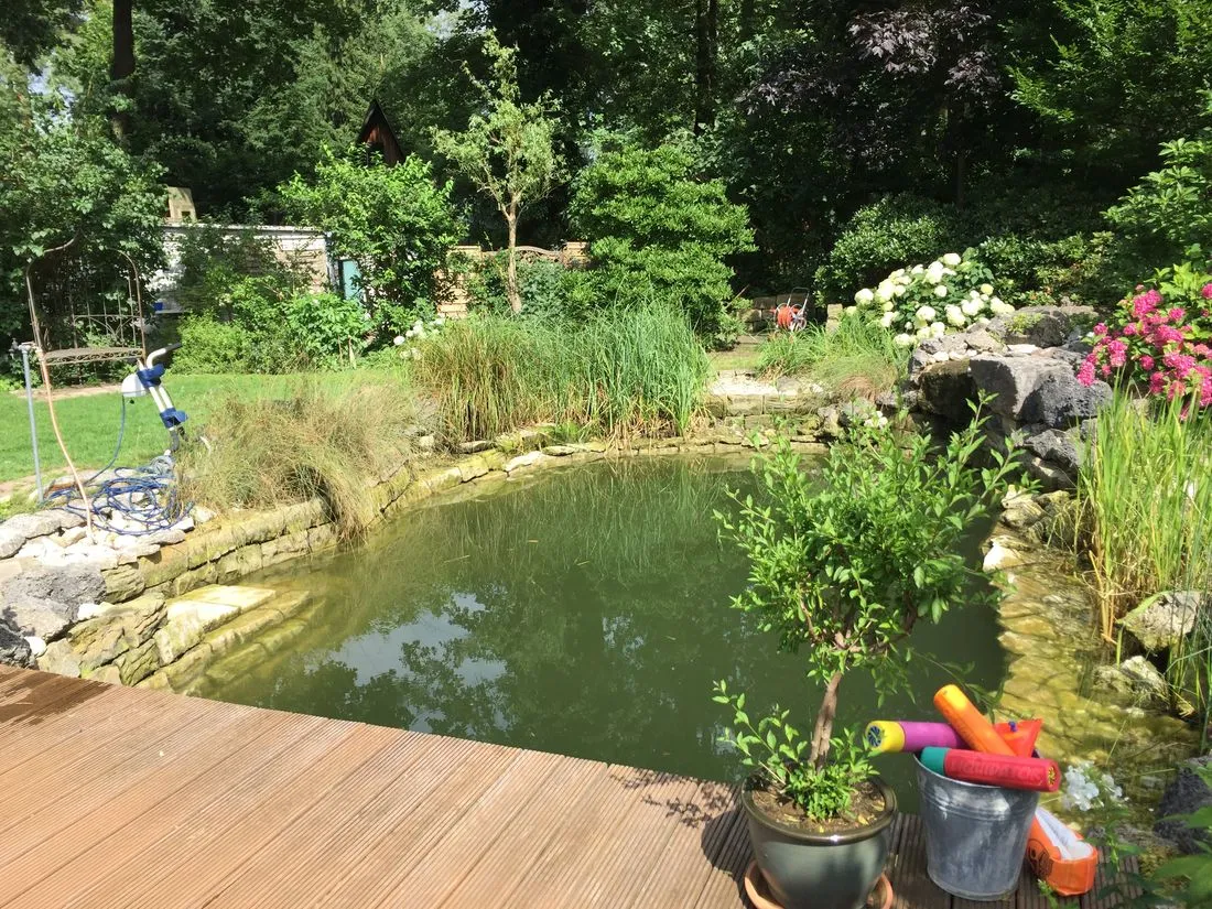 Gepflegter Naturteich mit klarem Wasser, Holzdeck und Bepflanzung
