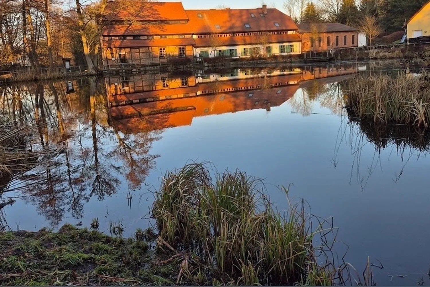 Derselbe See nach der Sanierung - offene, klare Wasserfläche mit Spiegelung