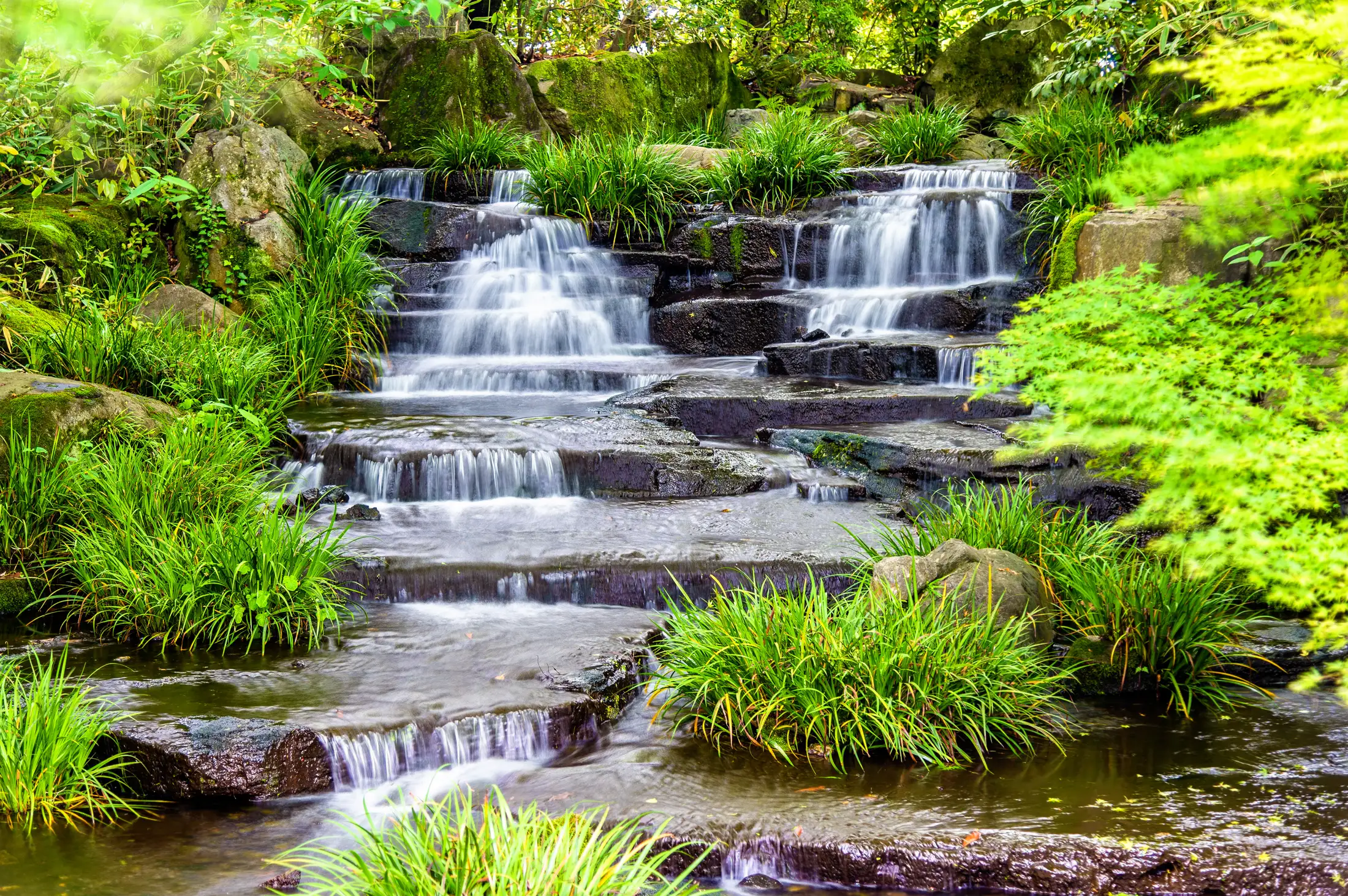 Klarer, lebendiger Naturteich mit Wasserfall und üppiger Bepflanzung