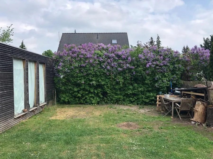 Teichpflege im Abo